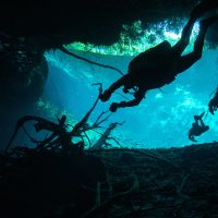 Some More from the Cenotes