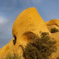 Joshua Tree National Park (part 9): Skull Rock