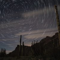 Organ Pipe Cactus National Monument (part 1): Star Trails