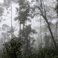 Hiking in the Clouds